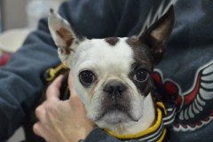 17-AgileCPE-Portraits-28Dec19