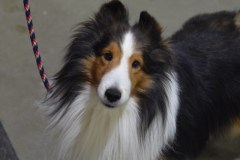 31-AgileCPE-Portraits-28Dec19