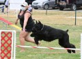 86-AOC-FAST-ALL-20-27Jun20
