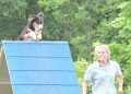 27-AOC-STD-Novice-27Jun20