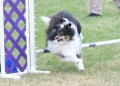 41-AOC-STD-Novice-27Jun20