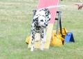 07-AOC-STD-Open-27Jun20