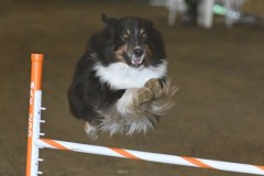 02-ASCA-Elite-Jumpers-5Oct19