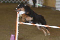 03-ASCA-Elite-Jumpers-5Oct19