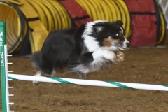 05-ASCA-Elite-Jumpers-5Oct19