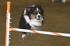 06-ASCA-Elite-Jumpers-5Oct19