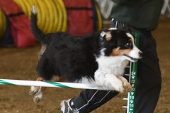 08-ASCA-Elite-Jumpers-5Oct19