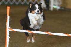 09-ASCA-Elite-Jumpers-5Oct19