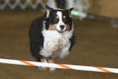 10-ASCA-Elite-Jumpers-5Oct19