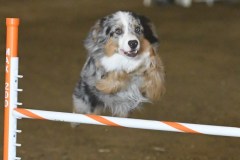 11-ASCA-Elite-Jumpers-5Oct19