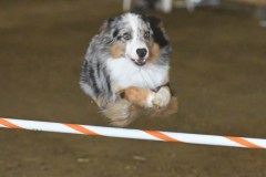 12-ASCA-Elite-Jumpers-5Oct19
