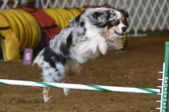 13-ASCA-Elite-Jumpers-5Oct19