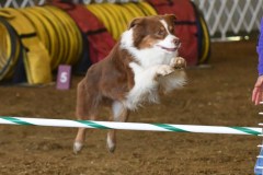 17-ASCA-Elite-Jumpers-5Oct19