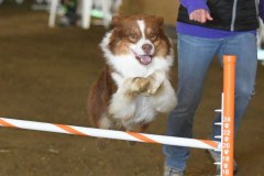19-ASCA-Elite-Jumpers-5Oct19