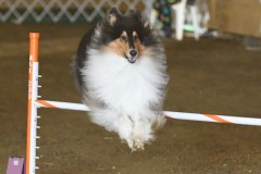 21-ASCA-Elite-Jumpers-5Oct19