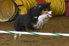 27-ASCA-Elite-Jumpers-5Oct19