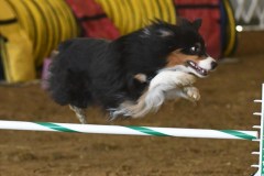 28-ASCA-Elite-Jumpers-5Oct19