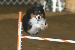 29-ASCA-Elite-Jumpers-5Oct19