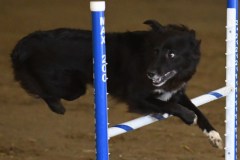 31-ASCA-Elite-Jumpers-5Oct19