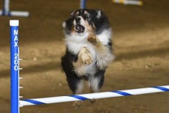 38-ASCA-Elite-Jumpers-5Oct19