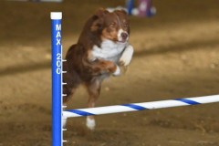 42-ASCA-Elite-Jumpers-5Oct19