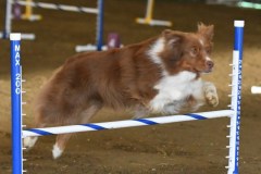 46-ASCA-Elite-Jumpers-5Oct19