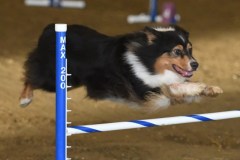 49-ASCA-Elite-Jumpers-5Oct19