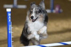 56-ASCA-Elite-Jumpers-5Oct19