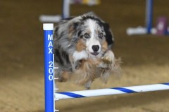 67-ASCA-Elite-Jumpers-5Oct19