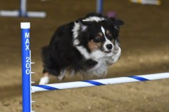 70-ASCA-Elite-Jumpers-5Oct19
