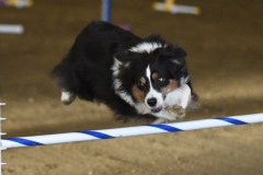71-ASCA-Elite-Jumpers-5Oct19