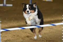 74-ASCA-Elite-Jumpers-5Oct19