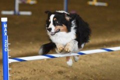 75-ASCA-Elite-Jumpers-5Oct19