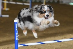 81-ASCA-Elite-Jumpers-5Oct19