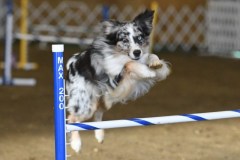 86-ASCA-Elite-Jumpers-5Oct19