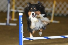 92-ASCA-Elite-Jumpers-5Oct19