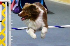 05-WASCUNY-6-22-19-Elite-Jumpers