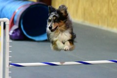 07-WASCUNY-6-22-19-Elite-Jumpers