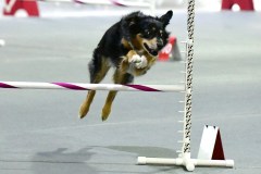 08-WASCUNY-6-22-19-Elite-Jumpers