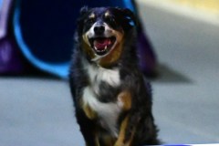 09-WASCUNY-6-22-19-Elite-Jumpers