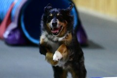 10-WASCUNY-6-22-19-Elite-Jumpers