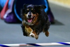 11-WASCUNY-6-22-19-Elite-Jumpers
