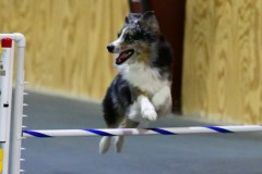 15-WASCUNY-6-22-19-Elite-Jumpers