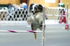 19-WASCUNY-6-22-19-Elite-Jumpers