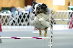 20-WASCUNY-6-22-19-Elite-Jumpers