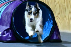 28-WASCUNY-6-22-19-Elite-Jumpers