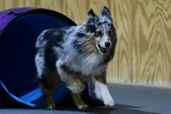 33-WASCUNY-6-22-19-Elite-Jumpers