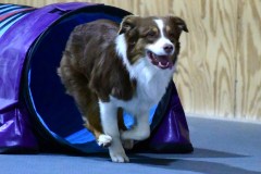 36-WASCUNY-6-22-19-Elite-Jumpers
