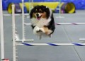 037-RUN-Jumpers-L345C-16-20-01Feb20