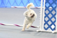 003-SAAC-AKC-24Aug19-ExMstr-JWW